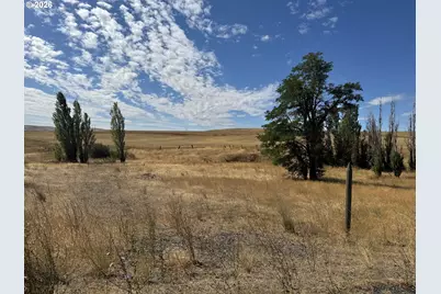 Niva Rd, Centerville, WA 98613 - Photo 1