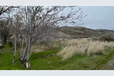 Roosevelt Ave, Roosevelt, WA 99356 - Photo 1