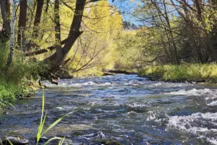 Hwy 82, Enterprise, OR 97828 - Photo 1