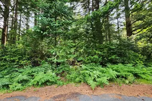 Cedar Hollow Rd, Port Orford, OR 97465 - Photo 1