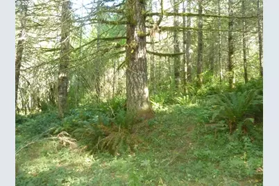 Thompson Rd, Yacolt, WA 98675 - Photo 1