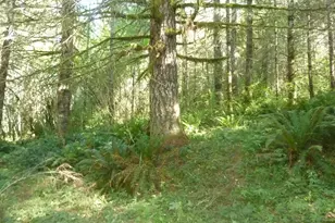 Thompson Rd, Yacolt, WA 98675 - Photo 1