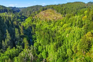Upper North Ford Rd, Florence, OR 97439 - Photo 1