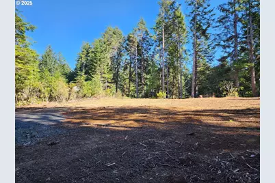 Park Rd #308, Port Orford, OR 97465 - Photo 1