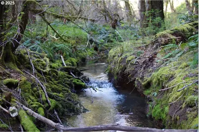 0 Davis Creek Rd, Selma, OR 97538 - Photo 1