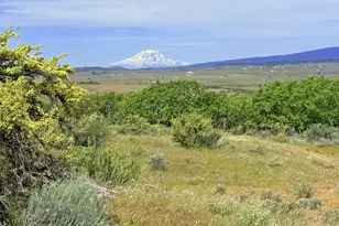 Off Gnarly Oaks, Goldendale, WA 98620 - Photo 1