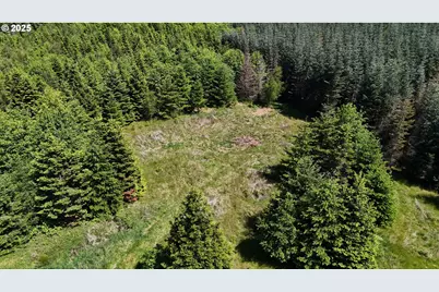 18820 Roseburg St SW, Rochester, WA 98579 - Photo 1