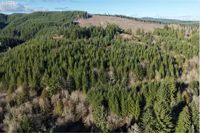 Scappoose Vernonia Hwy, Scappoose, OR 97056 - Photo 1