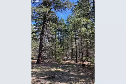 Lot 3 Thompson Tr, Goldendale, WA 98620 - Photo 1