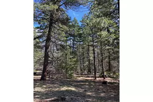 Lot 3 Thompson Trail, Goldendale, WA 98620 - Photo 1