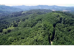 Lee Valley Rd, Myrtle Point, OR 97458 - Photo 1