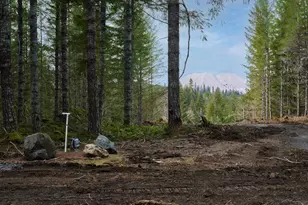 Lahar Ln, Cougar, WA 98616 - Photo 1