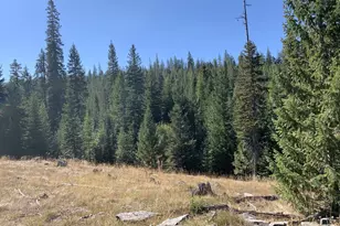 0 Forrest Land, La Grande, OR 97850 - Photo 1