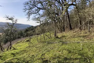 Bluff Rd, Kalama, WA 98625 - Photo 1