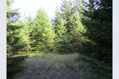 000 NW High Heaven (Large) Rd, McMinnville, OR 97128 - Photo 1