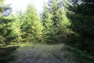 000 NW High Heaven (Large) Rd, McMinnville, OR 97128 - Photo 1