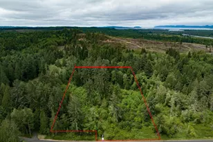 Ziak-Gnat Creek Ln, Astoria, OR 97103 - Photo 1