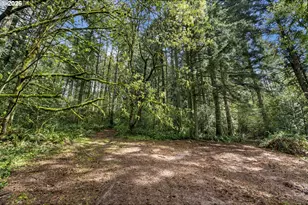 0 NE 72nd Ave, La Center, WA 98629 - Photo 1