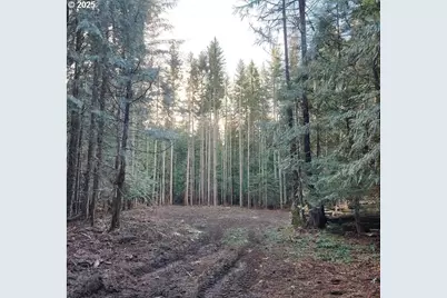 37030 E Gomes Ln, Government Camp, OR 97028 - Photo 1