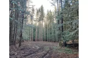 37030 E Gomes Ln, Government Camp, OR 97028 - Photo 1