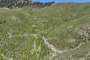 0 Nfs 1680 Rd, Unity, OR 97884 - Photo 1