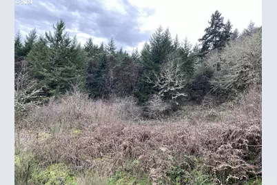 0 Terri Ct, Oakland, OR 97462 - Photo 1