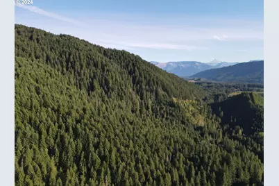 Cedar Creek Rd, Carson, WA 98610 - Photo 1