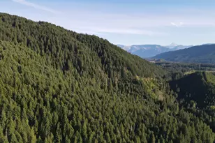 Cedar Creek Rd, Carson, WA 98610 - Photo 1