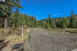 10732 Wind River Hwy, Carson, WA 98610 - Photo 1