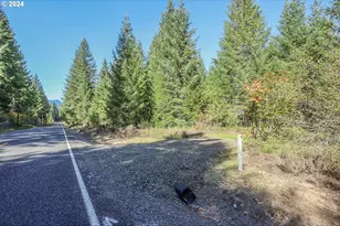 10634 Wind River Hwy, Carson, WA 98610 - Photo 1