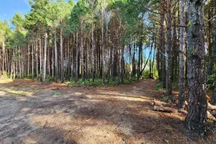 Kreiger Ln, Port Orford, OR 97465 - Photo 1