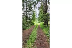 24099 Hall Rd, Cheshire, OR 97419 - Photo 1