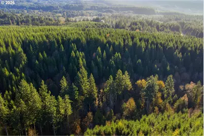 Nowakowski Rd, Banks, OR 97106 - Photo 1