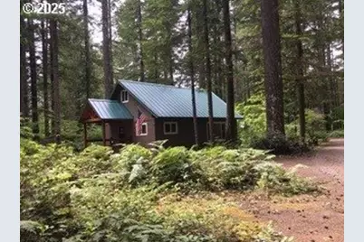Cabin 38 Northwoods, Cougar, WA 98616 - Photo 1