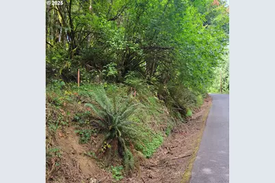 Coal Creek Rd, Scappoose, OR 97056 - Photo 1