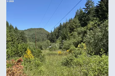 Cedar Valley Rd, Gold Beach, OR 97444 - Photo 1
