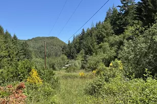 Cedar Valley Rd, Gold Beach, OR 97444 - Photo 1