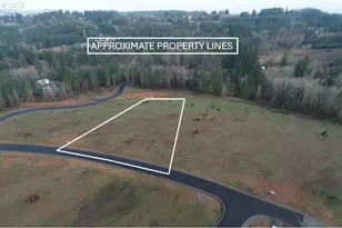 207 Ash Mountain Dr, Castle Rock, WA 98611 - Photo 1