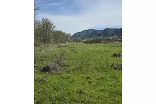 0 Tiller Trail Hwy, Canyonville, OR 97417 - Photo 1