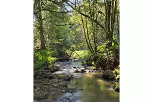 0 State Hwy 138, Oakland, OR 97462 - Photo 1