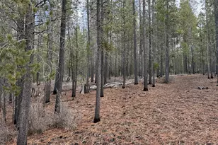 Schoonover 7, Crescent, OR 97733 - Photo 1