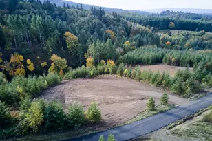 377 Bighorn Dr, Kelso, WA 98626 - Photo 1