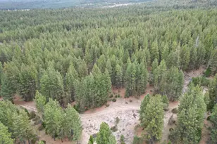 0 Whiskey Creek Rd, Beatty, OR 97621 - Photo 1