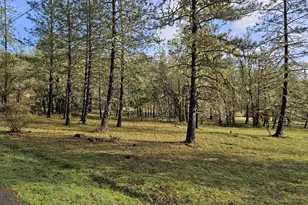 1020 Bennett Creek Rd, Cottage Grove, OR 97424 - Photo 1