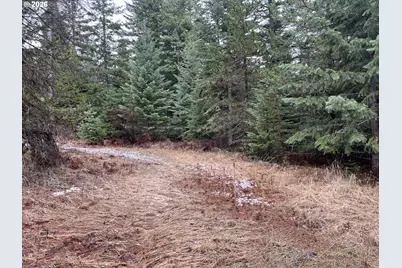 0 Highway 204, Weston, OR 97886 - Photo 1