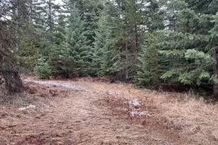 0 Hwy 204, Weston, OR 97886 - Photo 1