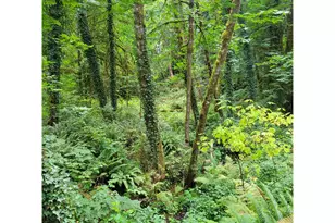 Coal Creek Rd, Scappoose, OR 97056 - Photo 1