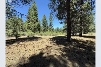 Friendship Dr #15, Chiloquin, OR 97624 - Photo 1