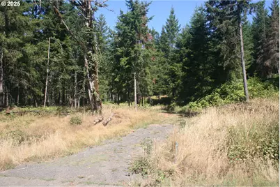 3647 Briar Knob Loop NE, Scotts Mills, OR 97375 - Photo 1