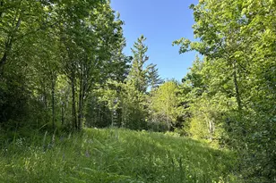 NE Fargher Dr, Yacolt, WA 98675 - Photo 1